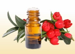 Gaultheria (Gandhpura) Oil