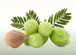 Triphala (Ayurvedic Compound Formulation)