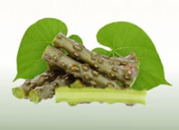 Asparagus (Asparagus racemosus)