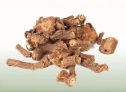 Anantmool (Hemidesmus indicus)