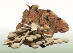 Acacia bark and fruit