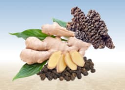 Trikatu (Ayurvedic Compound Formulation)