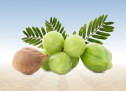 Triphala (Ayurvedic Compound Formulation)