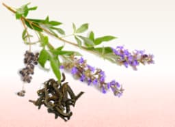 Chaste tree root and leaves (Vitex nigundo)