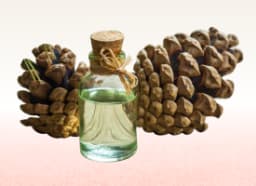 Turpentine oil (Oleoresin of Pinus longifolia)