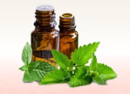 Peppermint oil (Mentha Viridis)