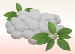 Camphor (Cinnamomum camphora)