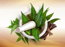 Neem (Azadirachta indica)