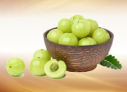 Indian Gooseberry (Phyllanthus Emblica)