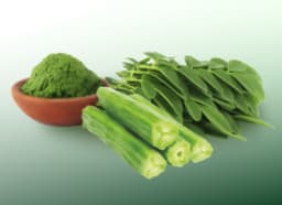 Drumstick (Moringa Oleifera)