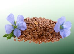 Linseed (Linum Usitatissimum)