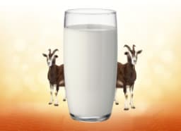 Goat milk