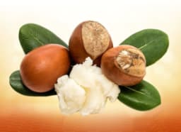 Shea Butter