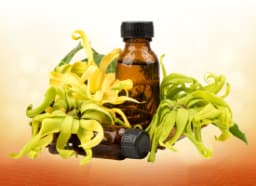 Ylang Ylang Oil