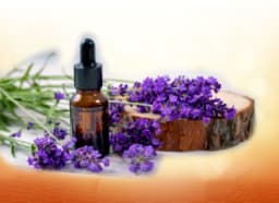 Lavender oil