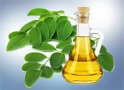 Drumsticks (Moringa) oil