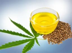 Hemp seed oil