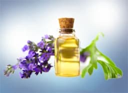 Lavender essential oil