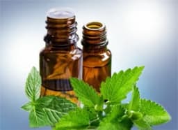Peppermint essential oil