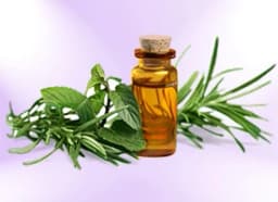 Tea Tree Essential Oil