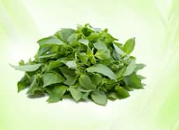 Nimbu Tulsi