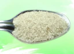 Isabgol