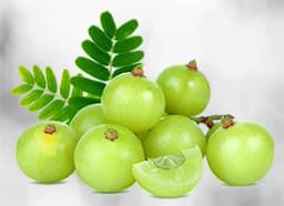 Amla (Emblica officinalis)