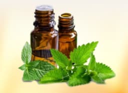 Peppermint Oil (Mentha Viridis)