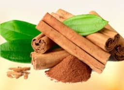 Cinnamon (Cinnamomum Verum)