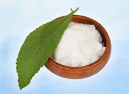 Steam Distilled Camphor Essential Oil
