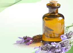 Lavender Oil