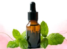 Peppermint Essential Oil