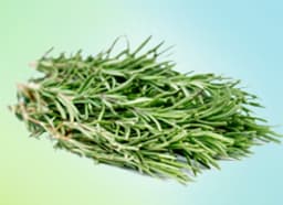 Rosemary