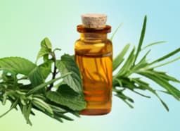 Tea tree oil