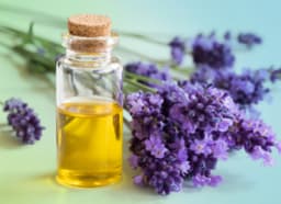 Lavender Essential Oil