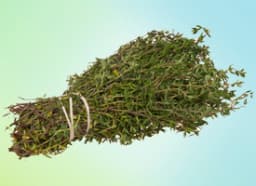 Thyme
