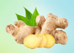 Ginger