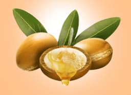 Argan Oil