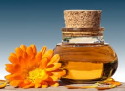 Marigold