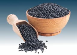 Babchi Oil