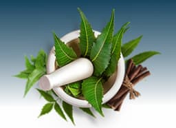 Neem