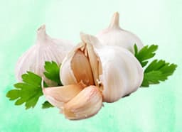 Garlic