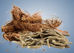 Spikenard and Kava root