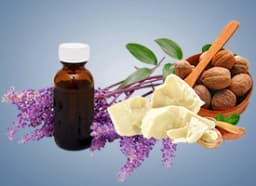 Shea Butter & Essential Oils of Lavender
