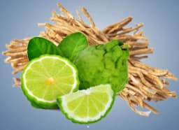 Vetiver & Bergamot