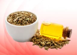 Essential oils of Fennel