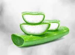Aloe vera (Aloe barbadensis)