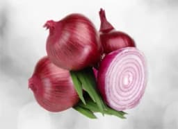 Onion (Allium cepa)