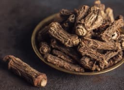 Indian sarsaparilla (Hemidesmus indicus)