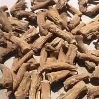 Costus root (Saussurea lappa)